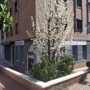 WhatsApp Image 2025-12-01 at 13.05.40 (2)