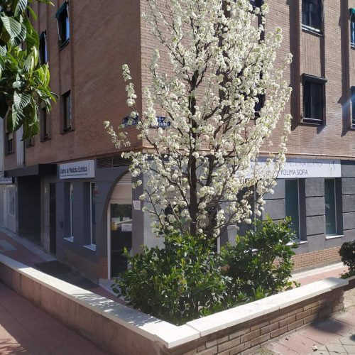 WhatsApp Image 2025-12-01 at 13.05.40 (2)